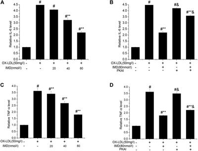 Intermedin Inhibits the Ox-LDL–Induced Inflammation in RAW264.7 Cells by Affecting Fatty Acid–Binding Protein 4 Through the PKA Pathway